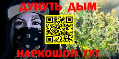 стафф Краснознаменск