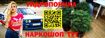 стафф Краснознаменск
