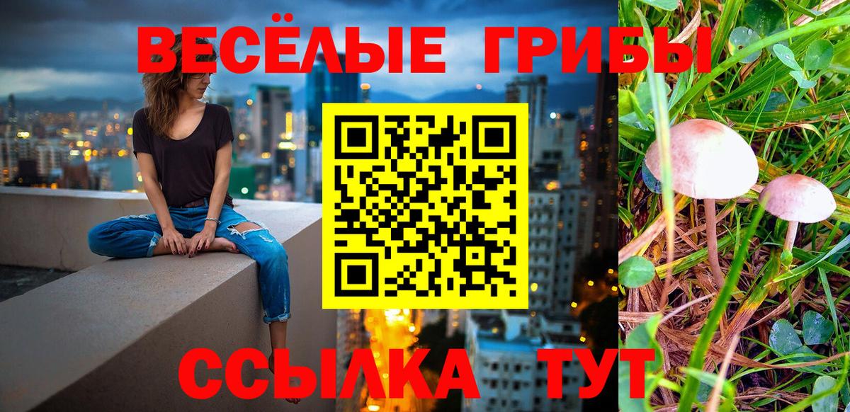 Галлюциногенные грибы мицелий  Псилоцибиновые грибы Psilocybe  Вход с VPN  Коряжма 